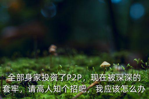 全部身家投資了P2P，現(xiàn)在被深深的套牢，請高人知個招吧，我應(yīng)該怎么辦