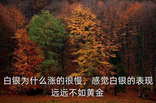白銀為什么漲的很慢，感覺白銀的表現(xiàn)遠遠不如黃金