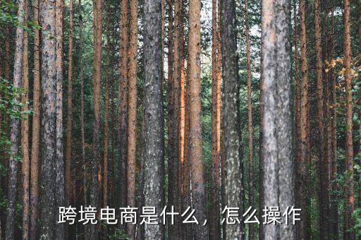 跨境電商是什么，怎么操作