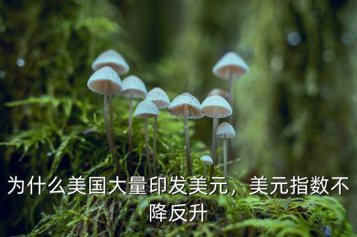 為什么美國大量印發(fā)美元，美元指數(shù)不降反升