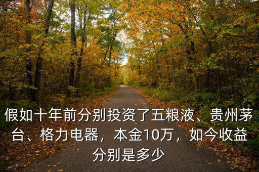 假如十年前分別投資了五糧液、貴州茅臺、格力電器，本金10萬，如今收益分別是多少