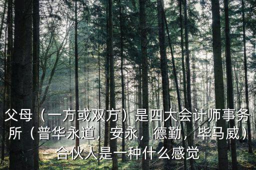 父母（一方或雙方）是四大會計師事務所（普華永道，安永，德勤，畢馬威）合伙人是一種什么感覺