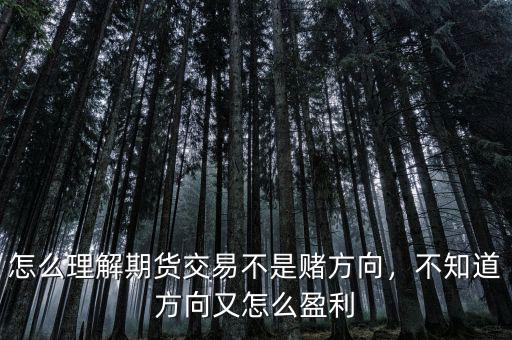 怎么理解期貨交易不是賭方向，不知道方向又怎么盈利