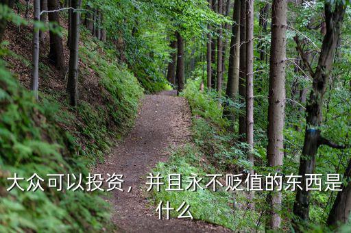 大眾可以投資，并且永不貶值的東西是什么
