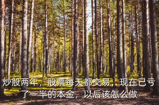 炒股兩年，股票每天都交易，現(xiàn)在已虧了一半的本金，以后該怎么做