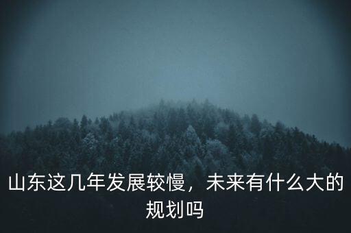 山東這幾年發(fā)展較慢，未來有什么大的規(guī)劃嗎