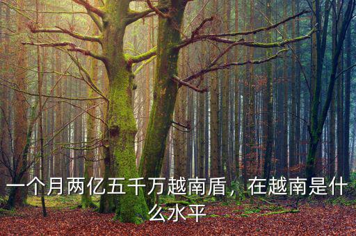 一個月兩億五千萬越南盾，在越南是什么水平