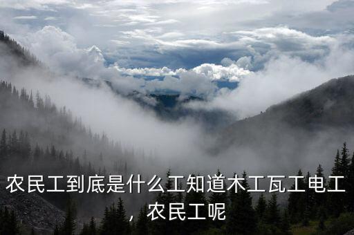 農(nóng)民工到底是什么工知道木工瓦工電工，農(nóng)民工呢
