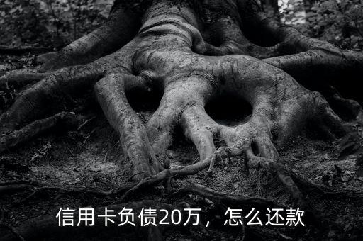 信用卡負(fù)債20萬(wàn)，怎么還款