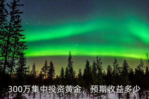 300萬集中投資黃金，預(yù)期收益多少