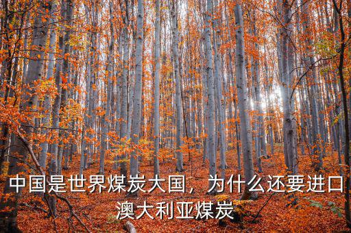 中國是世界煤炭大國，為什么還要進(jìn)口澳大利亞煤炭