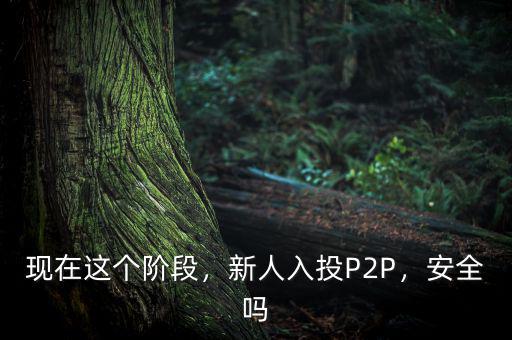 現(xiàn)在這個(gè)階段，新人入投P2P，安全嗎