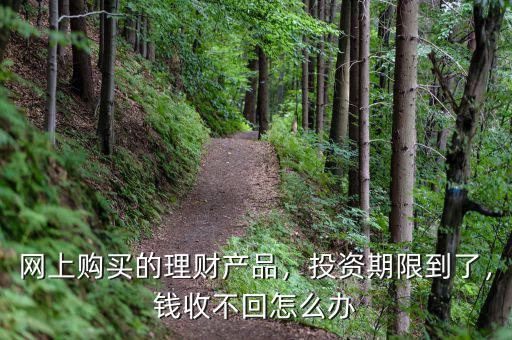 網上購買的理財產品，投資期限到了，錢收不回怎么辦