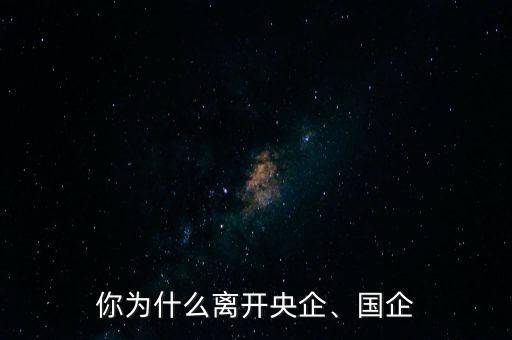 你為什么離開央企、國企