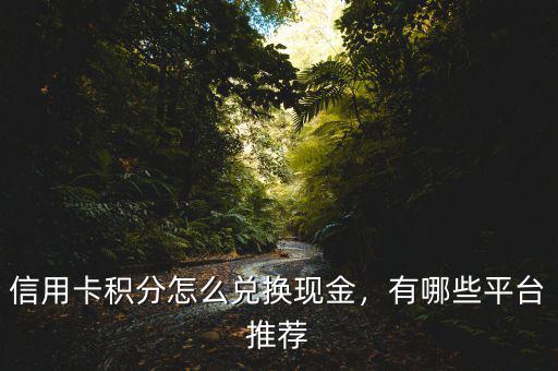 信用卡積分怎么兌換現(xiàn)金，有哪些平臺推薦