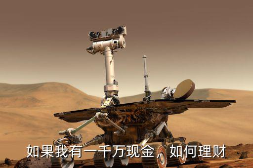 如果我有一千萬(wàn)現(xiàn)金，如何理財(cái)