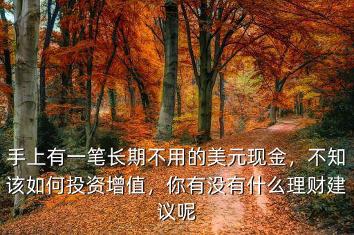 手上有一筆長期不用的美元現(xiàn)金，不知該如何投資增值，你有沒有什么理財建議呢