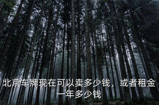 北京車牌現(xiàn)在可以賣多少錢，或者租金一年多少錢