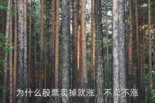 為什么股票賣掉就漲，不賣不漲