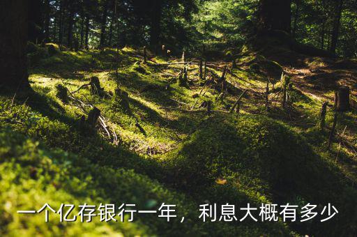 一個億存銀行一年，利息大概有多少