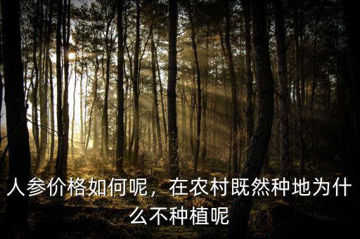 人參價(jià)格如何呢，在農(nóng)村既然種地為什么不種植呢