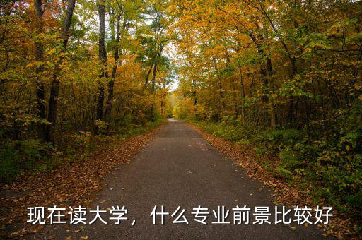 現(xiàn)在讀大學(xué)，什么專業(yè)前景比較好