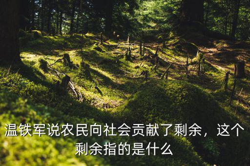 溫鐵軍說農(nóng)民向社會(huì)貢獻(xiàn)了剩余，這個(gè)剩余指的是什么