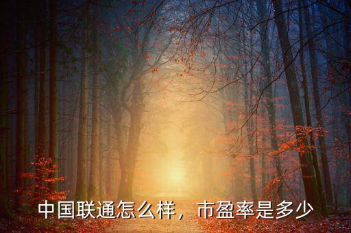 中國聯(lián)通怎么樣，市盈率是多少