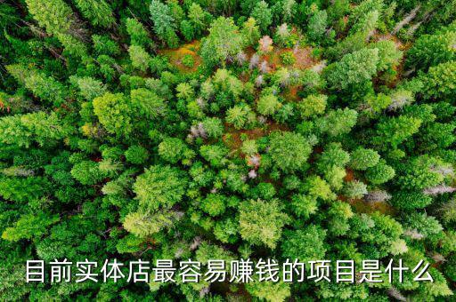 目前實(shí)體店最容易賺錢的項目是什么