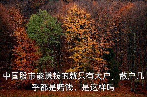 中國股市能賺錢的就只有大戶，散戶幾乎都是賠錢，是這樣嗎