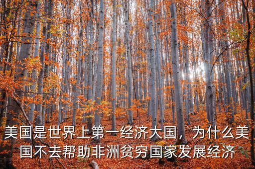 美國是世界上第一經(jīng)濟大國，為什么美國不去幫助非洲貧窮國家發(fā)展經(jīng)濟