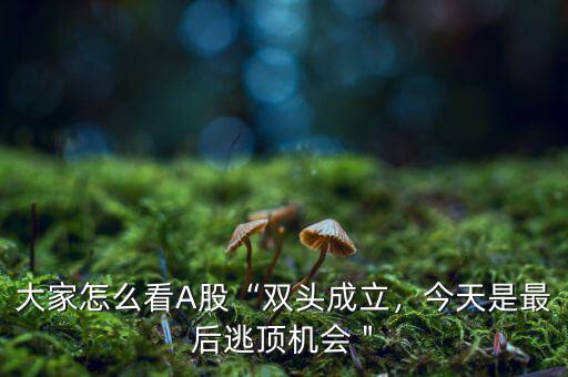 大家怎么看A股“雙頭成立，今天是最后逃頂機會＂