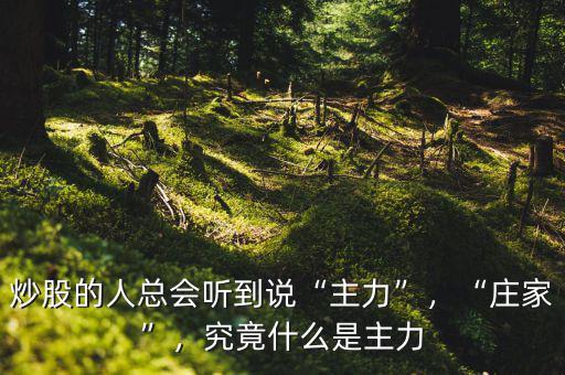 炒股的人總會(huì)聽到說“主力”，“莊家”，究竟什么是主力