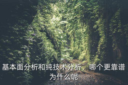 基本面分析和純技術(shù)分析，哪個更靠譜為什么呢