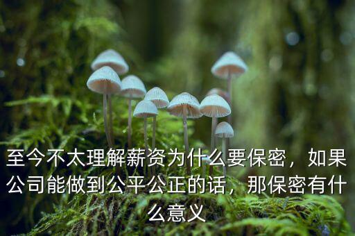 至今不太理解薪資為什么要保密，如果公司能做到公平公正的話，那保密有什么意義