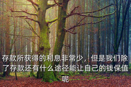 存款所獲得的利息非常少，但是我們除了存款還有什么途徑能讓自己的錢保值呢