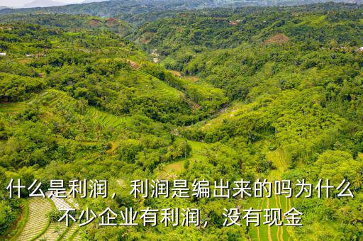 什么是利潤，利潤是編出來的嗎為什么不少企業(yè)有利潤，沒有現(xiàn)金