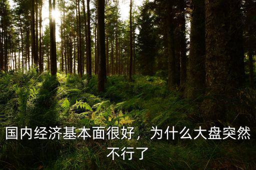 國內(nèi)經(jīng)濟基本面很好，為什么大盤突然不行了