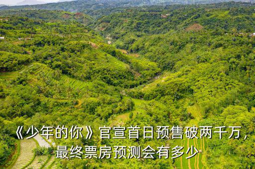 《少年的你》官宣首日預(yù)售破兩千萬，最終票房預(yù)測會有多少