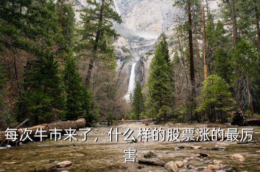 每次牛市來了，什么樣的股票漲的最厲害