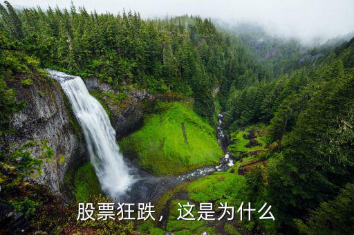 股票狂跌，這是為什么