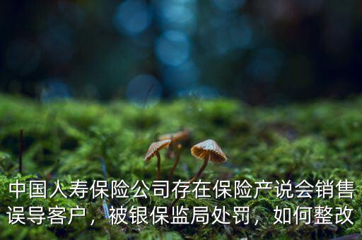 中國(guó)人壽保險(xiǎn)公司存在保險(xiǎn)產(chǎn)說(shuō)會(huì)銷售誤導(dǎo)客戶，被銀保監(jiān)局處罰，如何整改