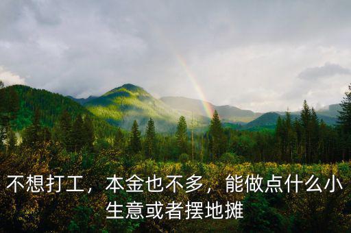 不想打工，本金也不多，能做點什么小生意或者擺地攤