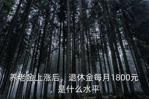 養(yǎng)老金上漲后，退休金每月1800元，是什么水平