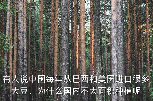 有人說中國每年從巴西和美國進(jìn)口很多大豆，為什么國內(nèi)不大面積種植呢