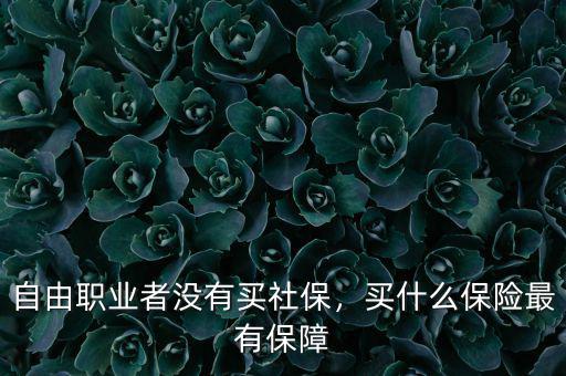自由職業(yè)者沒(méi)有買(mǎi)社保，買(mǎi)什么保險(xiǎn)最有保障