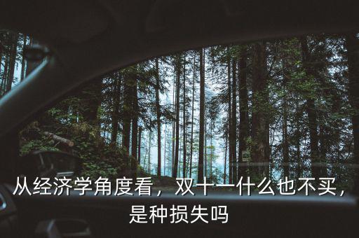 從經濟學角度看，雙十一什么也不買，是種損失嗎