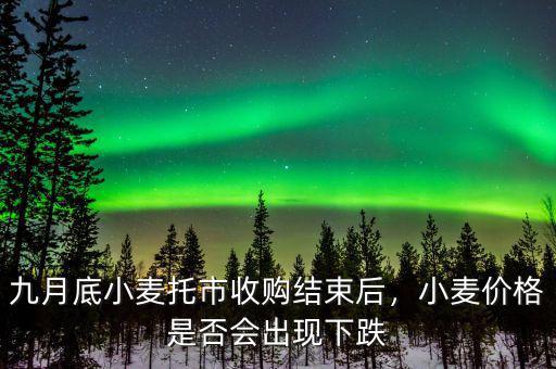 九月底小麥托市收購(gòu)結(jié)束后，小麥價(jià)格是否會(huì)出現(xiàn)下跌