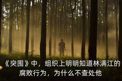 《突圍》中，組織上明明知道林滿江的腐敗行為，為什么不查處他