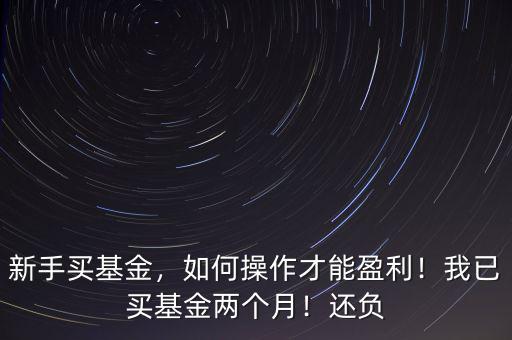 新手買基金，如何操作才能盈利！我已買基金兩個月！還負